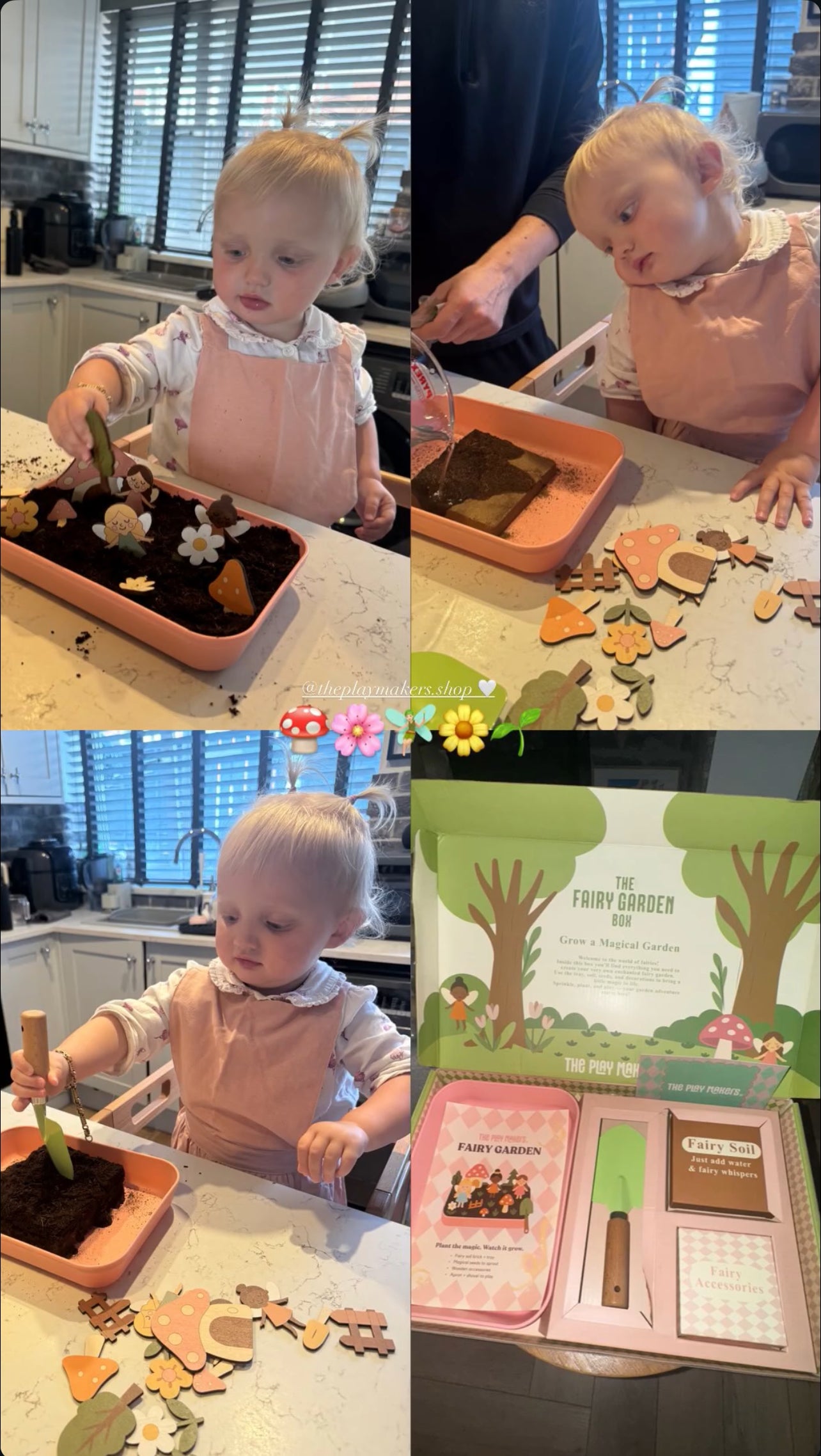 The Fairy Garden Box The Playmakers Co.