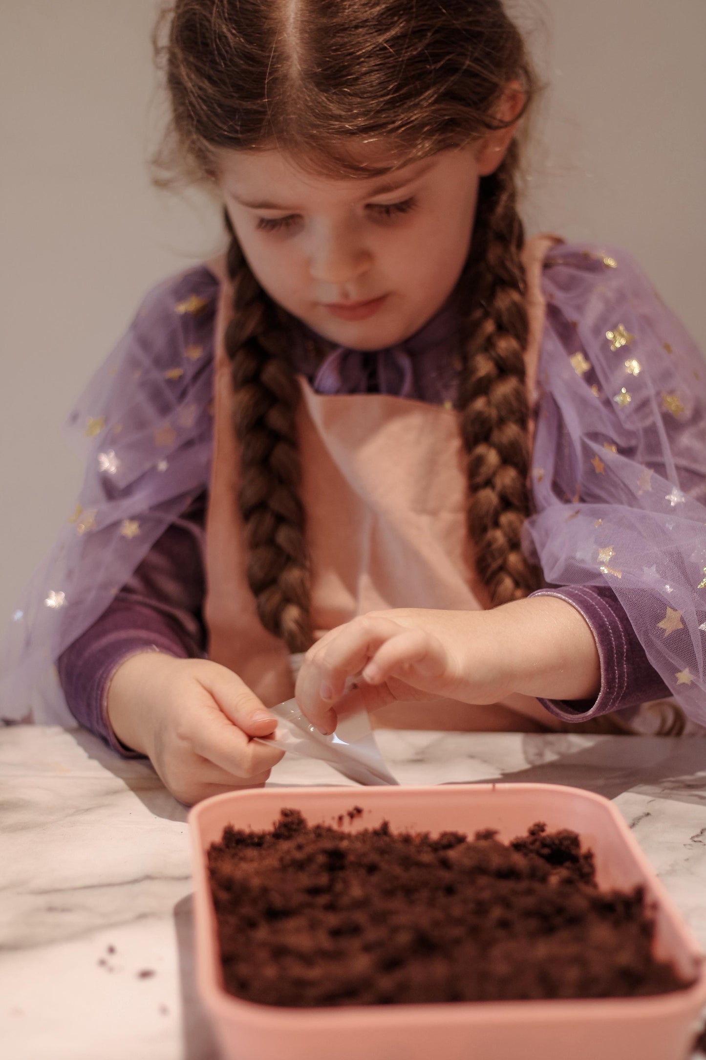 Back in stock Ships: October 29th The Fairy Garden Box The Playmakers Co.