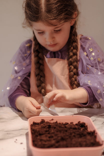 Back in stock Ships: October 29th The Fairy Garden Box The Playmakers Co.